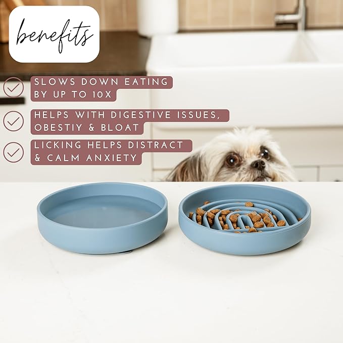 Should We Go? Slow Feeder for Dogs & Cats, The Slowdown Bowl Silicone Slow Eating Mealtime Solution with Modern Lick Mat Design, Reduces Gulping, Fits 1 Cup, 6” Across x 1.25” Tall, Small-Charcoal