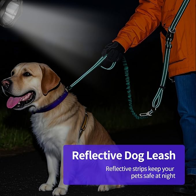 Kazazoo Hands-Free Dog Leash with 6-9FT Adjustable Length - Heavy Duty No Pull Bungee Design, Reflective Safety for Walking, Jogging & Training | Suitable for Medium to Large Dogs Green L