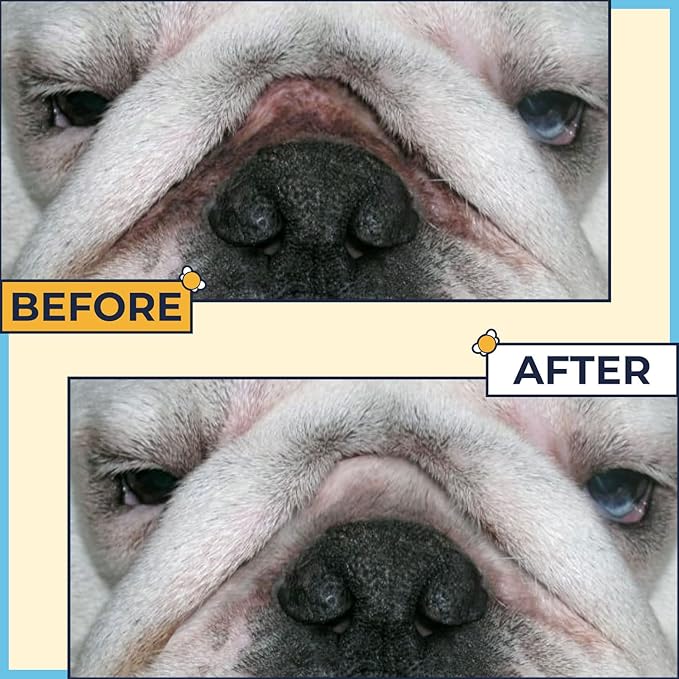 Paste for Bulldogs Wrinkle 2oz+ 50 Wrinkle Wipes French Bulldog (Pack of 2)- Wrinkle Cream for Dogs, Frenchie, English Bulldog, Pug- Cleans Rashes,Tail Pockets, Dry Skin & Paws (Made In USA)