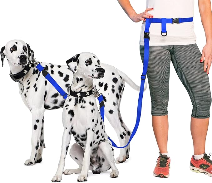 The Buddy System Accessories for Our Dog Leashes Made in USA (Double Buddy, Regular Dog Blue)