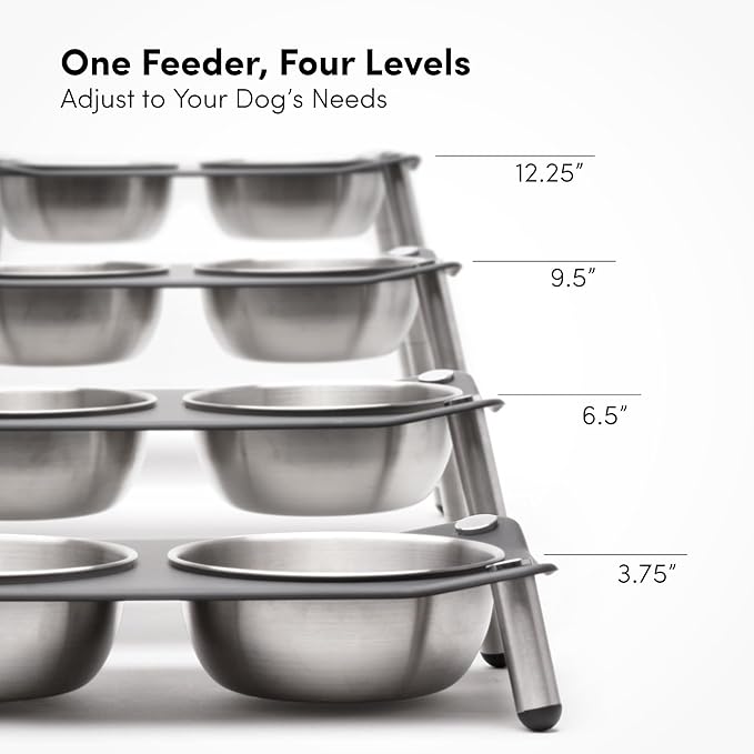 Adjustable Elevated Dog Bowl 56 fl oz Stainless Steel Bowls