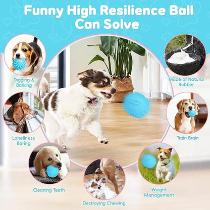 8 Pack Luxury Puppy Toys for Teething Small Dogs, Puppy Chew Toys with Squeaky Dog Toys, Balls and Rope Dog Chew Toys, Dog Toys to Keep Them Busy (Blue, 8-Pack)