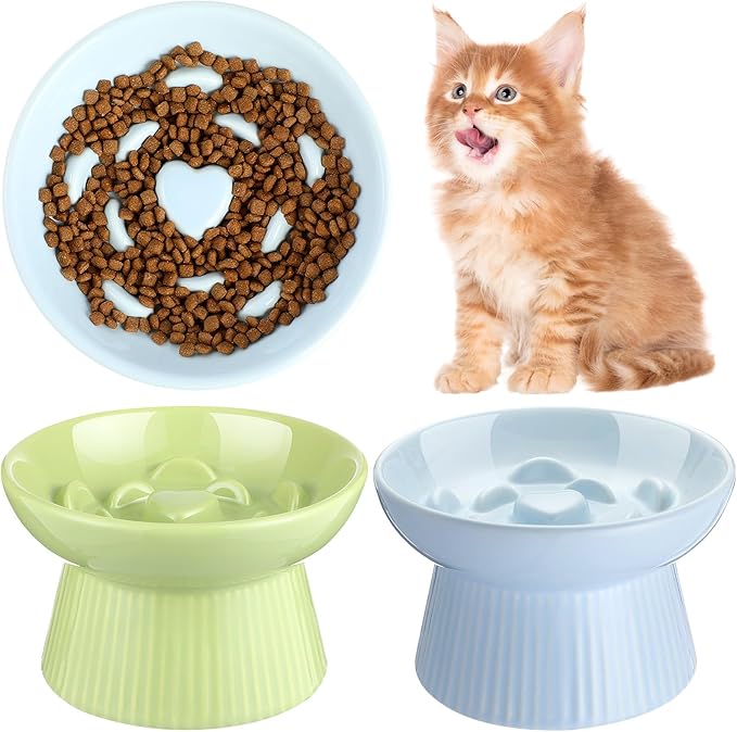 Tioncy 2 Pcs Raised Cat Slow Feeder Bowl Ceramic Elevated Cat Dog Food Bowl No Spill High Edge for Dry Wet Food and Water Easy to Clean, Dishwasher Safe (Green,Blue)