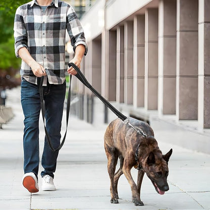 6 FT Dog Leash with 2 Padded Handle Nylon Reflective Dogs Leashes for Small Medium Large Dogs Black
