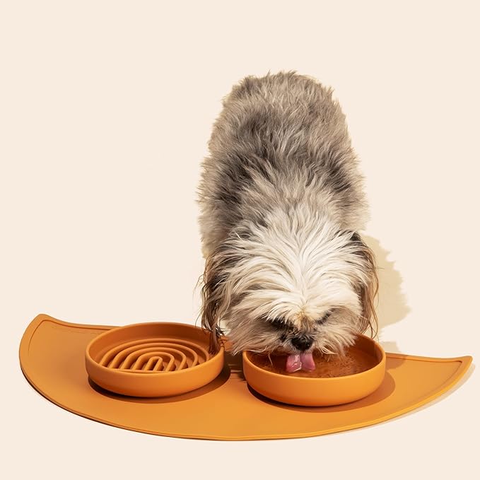 Should We Go? Slow Feeder for Dogs & Cats, The Slowdown Bowl Silicone Slow Eating Mealtime Solution with Modern Lick Mat Design, Reduces Gulping, Fits 1 Cup, 6” Across x 1.25” Tall, Small-Spruce