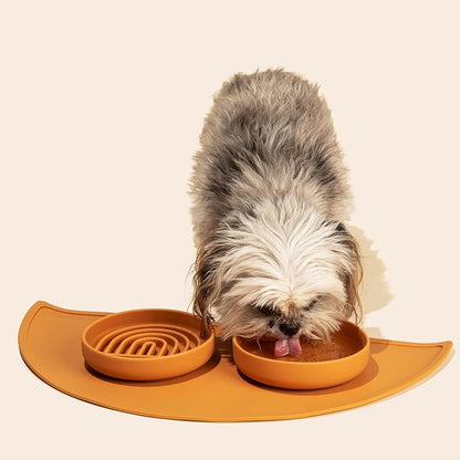 Should We Go? Slow Feeder for Dogs & Cats, The Slowdown Bowl Silicone Slow Eating Mealtime Solution with Modern Lick Mat Design, Reduces Gulping, Fits 1 Cup, 6” Across x 1.25” Tall, Small-Spruce