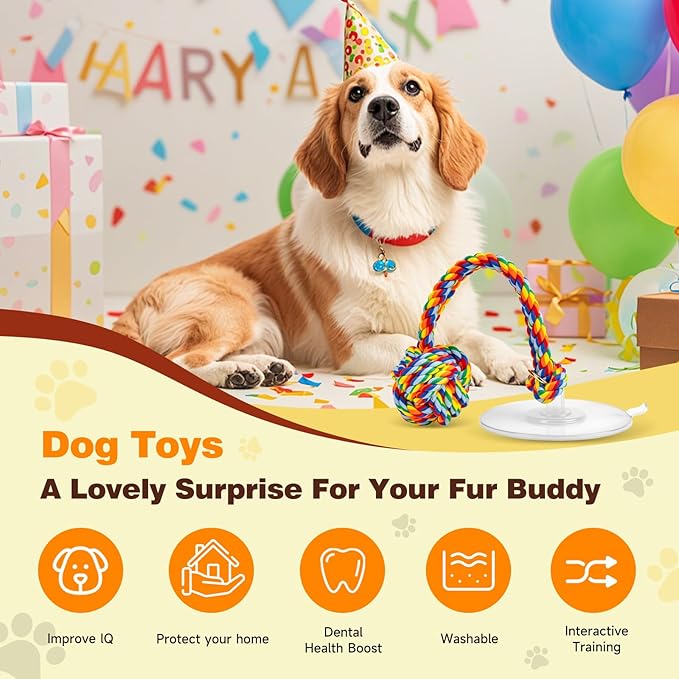 Interactive Dog Toys Tug of War, Dog Enrichment Toys, Durable Rope & Chew Ball, Dog Toys to Keep Them Busy, Indoor Toys for Small Dogs，Rainbow