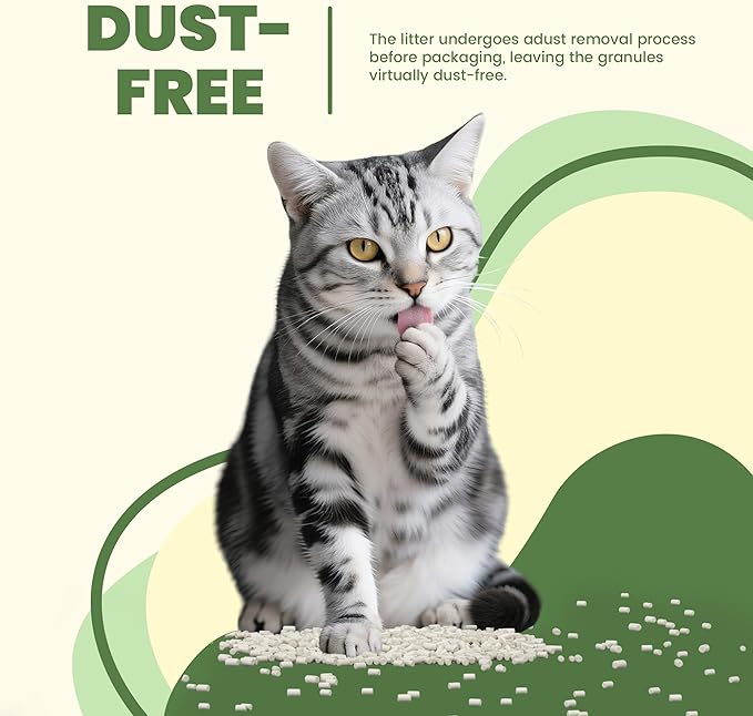 Enhanced Zeolite Cat Litter Pellets 7lbs & Cat Pee Pads 10 Count - Refill for Dual-Layer Litter Box Systems | Premium Stainless Steel Shifting Tray