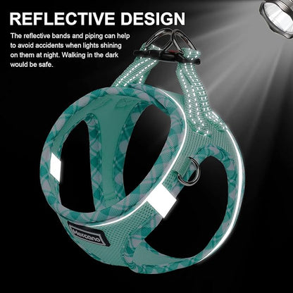 Mercano Soft Mesh Dog Harness and Leash Set, No-Chock Step-in Reflective Breathable Lightweight Easy Walk Vest Harnesses with Safety Buckle for Small Dogs, Cats (Light Green, XXS)