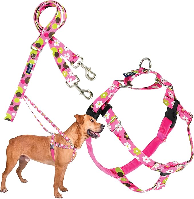 2 Hounds Design - Freedom No-Pull Harness & Training Leash in Pink Daisy | Dual Leash Loops, No Pulling on Walks | Lined to Prevent Chaffing | for Large Sized Dogs (Size L, Chest 28”- 32”)