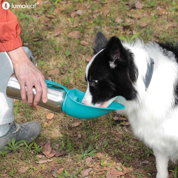 LumoLeaf Portable Dog Water Bottle 27 OZ, Stainless Steel Pet Travel Water Bottle Dispenser for Walking, Hiking and Outdoor, Portable Water Bowl for Large Dogs (Grey)