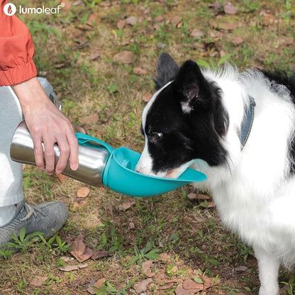LumoLeaf Portable Dog Water Bottle 27 OZ, Stainless Steel Pet Travel Water Bottle Dispenser for Walking, Hiking and Outdoor, Portable Water Bowl for Large Dogs (Grey)