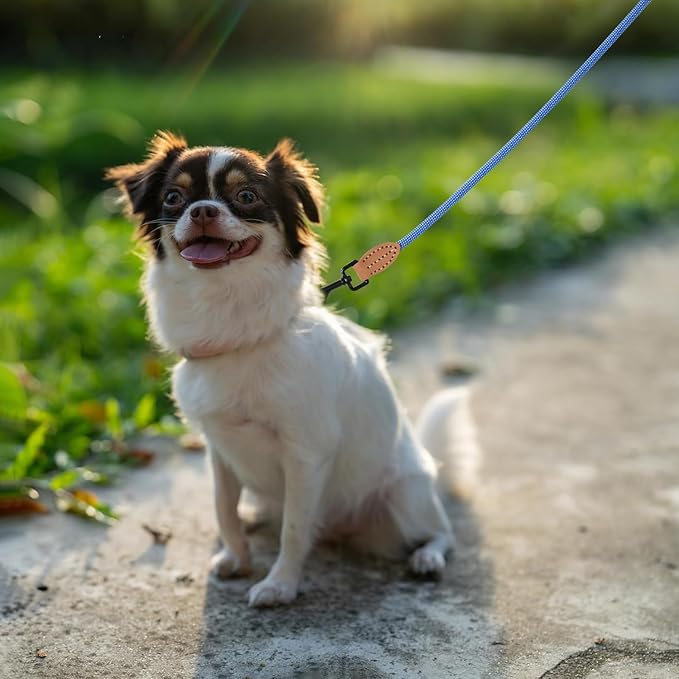 Mile High Life Small Dog Leash, Thin Rope Leash with Genuine Leather Connection and Heavy Duty Metal Clasp, Great for Small Medium Dogs(Blue White,72 Inch-1/3)