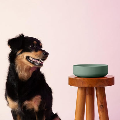 Should We Go? Dog Water Bowl - The Perfect Dish No-Spill Less Mess Non-Tippable Water & Food Bowl, Pure Silicone with Suction Cup Fits 5 Cups 7.5" Across x 2.25" Tall Ideal for All Pets, Medium-Spruce