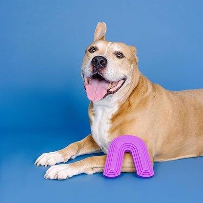 Fringe Studio Color ME Happy Purple Rubber Dog Toy, Pet Shop Collection (518036)