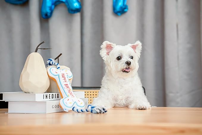 PAWTY Birthday Bone Dog Toy - Funny Interactive Tug Rope Squeaky Dog Birthday Gift - Plush Pink Bone Toy for Small Medium Dogs - Dog Birthday Party Supplies