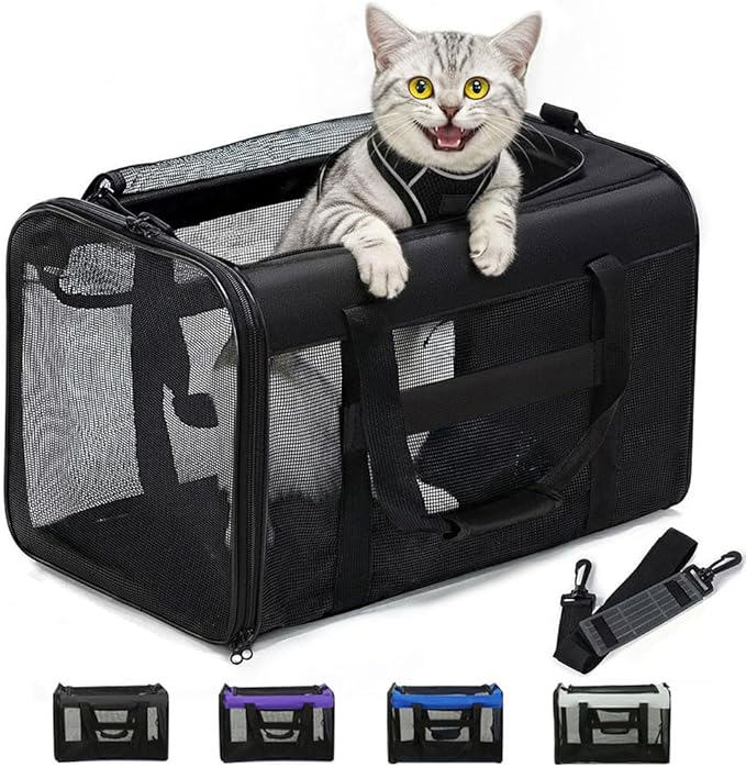 Cat Carrier Bag,Soft-Sided Pet Carriers for Dogs with 4-Sided Mesh,Airline Approved Cat Transport Carrier for Small&Medium Cats Kitten Puppy Up to 15Lb,Collapsible Cat Travel Carrier-M,Black