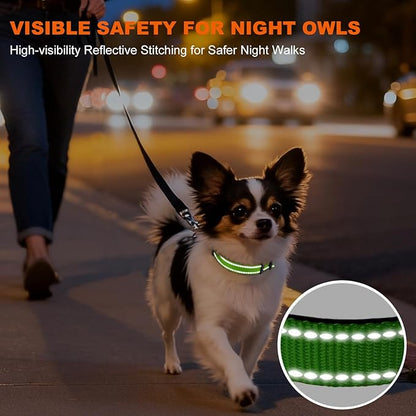 Taglory Reflective Dog Collar with Safety Locking Buckle, Soft Neoprene Padded Dog Collar for Puppy Dogs, Metal D-Ring, Adjustable Nylon Neck Strap for Daily Walking, Training & Running, Green, XS