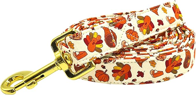 Dog Leash, Thanksgiving Day Holiday Turkey Print Boy/Girl Durable Strong Dog Leashes Heavy Duty Comfortable Padded Pet Leash for Small Medium Large Dogs