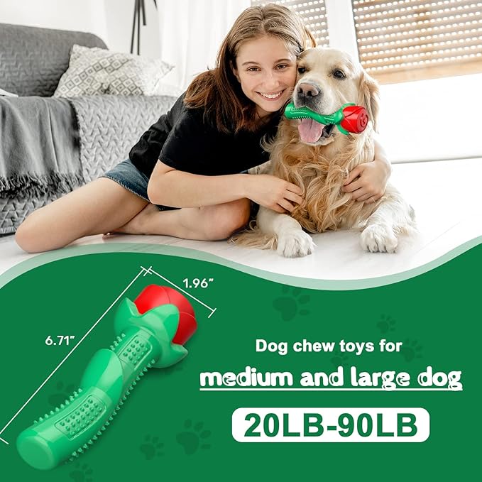 ucho Dog Toys for Training Chew Play, Rose Fetching Dog Pool Toys, Floats Water Toy, and Interactive Pet Chew for Aggressive Chewers Cleaning Teeth