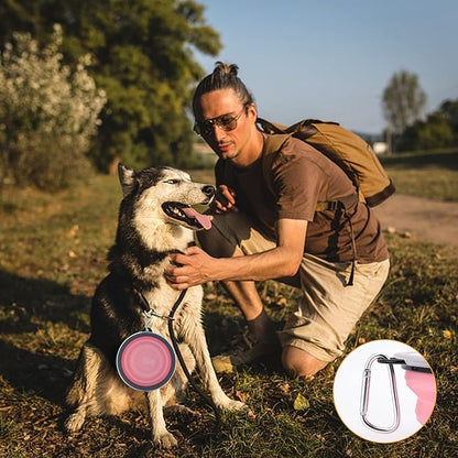 SLSON Dog Bowls Pet Collapsible Bowl with Cover Lids,2 Pack Dog Travel Bowls Portable Foldable Cat Water Dish Bowl for Pets Walking Parking Camping (Fairy Pink and Sprout Green, Large)