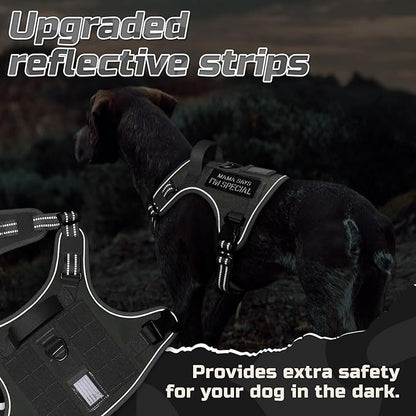 rabbitgoo Tactical Dog Harness for Small Dogs, No Pull Military Service Vest with Handle & Molle, Easy Control for Training Walking, Adjustable Reflective Straps, Dark Grey, S