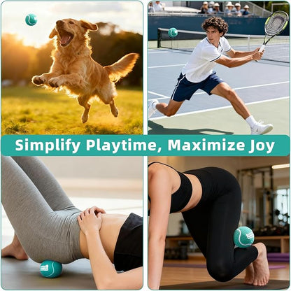 2.5" Dog Tennis Balls 6-Pack Silent Bounce, Tough Rubber Core, Durable Fetch & Training Toys for Indoor/Outdoor Play, for Small Medium Large Dogs (MARRS Green, 6 Pack)