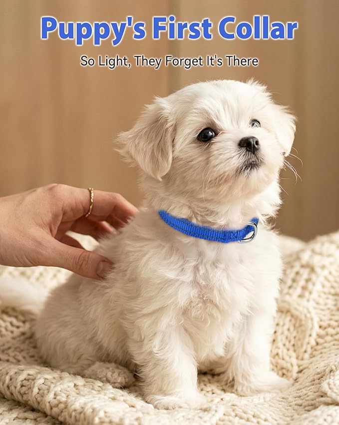Joytale Puppy Collar, Feather-Light Double-Sided Reflective Nylon Collar for Night Safety, Adjustable Quick-Release for Extra Small Dogs, Navy Blue, XS (3/8" Width)