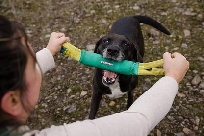 Ruffwear, Pacific Loop Dog Toy, Interactive Tug Toy for Playing and Training, Aurora Teal