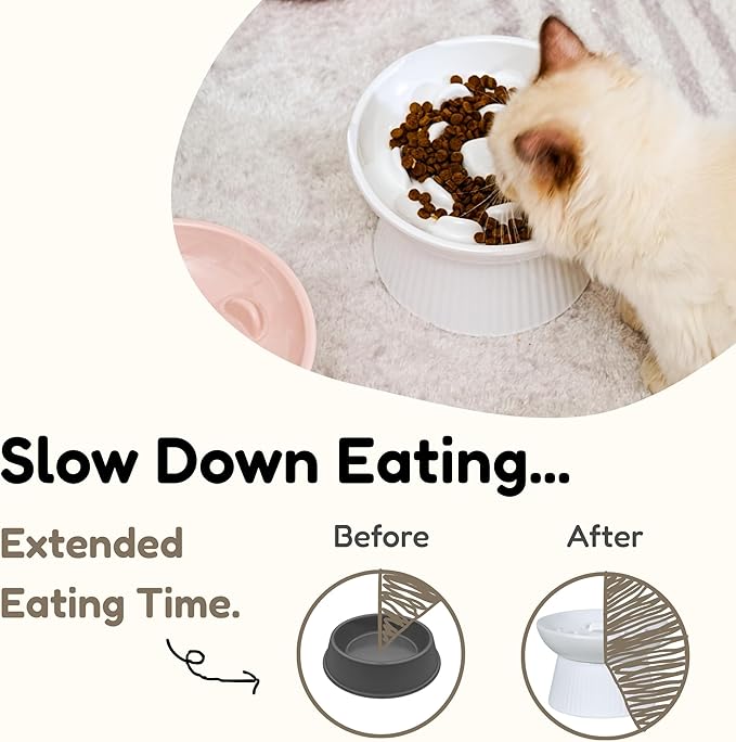 Unbreakable Raised Slow Feeder Bowl for Cats and Small Dogs, Elevated Cat Bowls, Detachable Slow Feede Bowl, Heavy Weighted, Non-Slip Feeder, Dry & Wet Food, Whisker Friendly Flat Plates (White