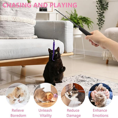 Hypeety Cat Toys for Indoor Cats Interactive Retractable Fishing Pole Wand with Refills Feathers Cat Teaser Wand with Feathers Cute and Funny Cat Toy Wand for Playtime Chase and Exercise 10PCS