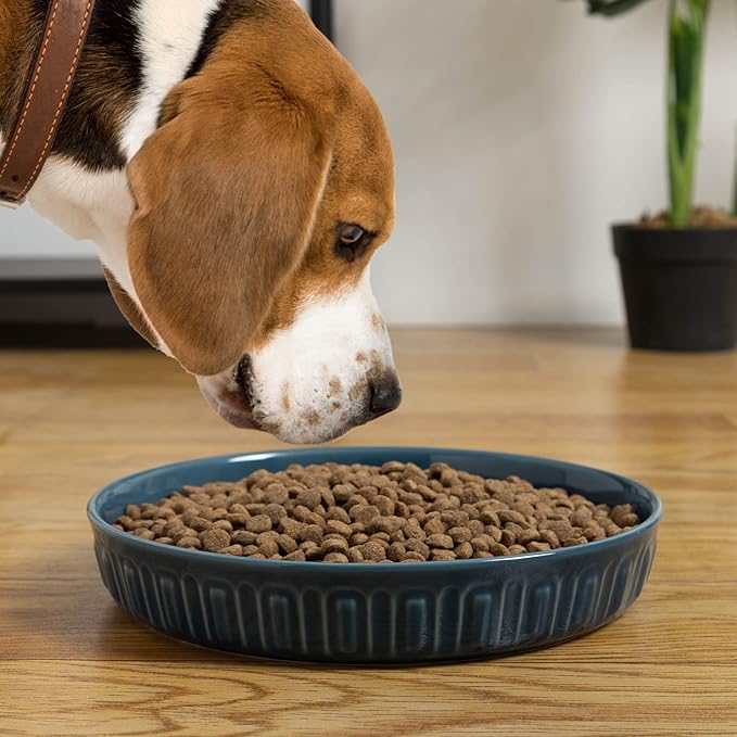 Fun Elements Shallow Dog Bowls, 10.5" Ceramic Large Food Plate for Small, Medium and Large Breeds, Non-Slip, Flat and Wide, Dishwasher Safe, Suitable for Dogs and Cats (Blue)