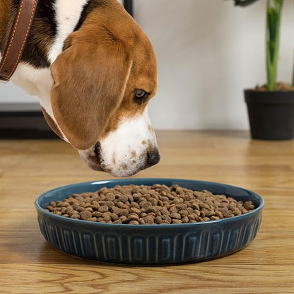 Fun Elements Shallow Dog Bowls, 10.5" Ceramic Large Food Plate for Small, Medium and Large Breeds, Non-Slip, Flat and Wide, Dishwasher Safe, Suitable for Dogs and Cats (Blue)