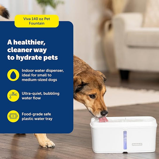 PetSafe Viva Pet Fountain - Encourages Healthy Hydration - Automatic Water Dispenser with Double Filtration - Ultra Quiet Water Fountain - Easy to Assemble - Dishwasher Safe - Stainless Steel - 140 oz
