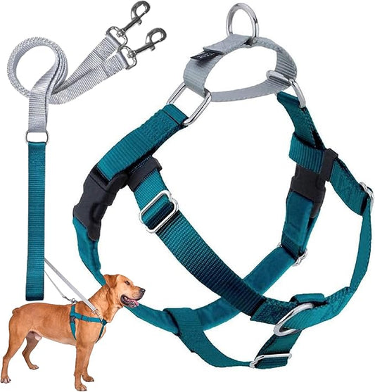 2 Hounds Design Freedom No Pull Dog Harness, Adjustable Harness and Leash Set, Easy Walking & Comfortable Control, Fits Small, Medium & Large Dogs, Solid Colors, Made in USA, 5/8" XS, Teal