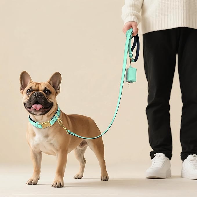 Didog 5FT Colorful Nylon Dog Leash with Soft Full-Length Padding, Lightweight and Durable Pet Leash for Medium and Large Dogs, Green, M