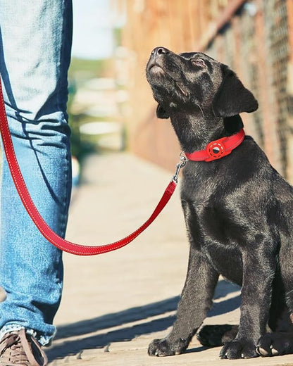 Reflective Dog Leash 6ft Soft Padded Handle Nylon Lead for Small & Medium Dogs, Durable Walking Training Leash for Night Safety (Red,3/4Inch Wide)