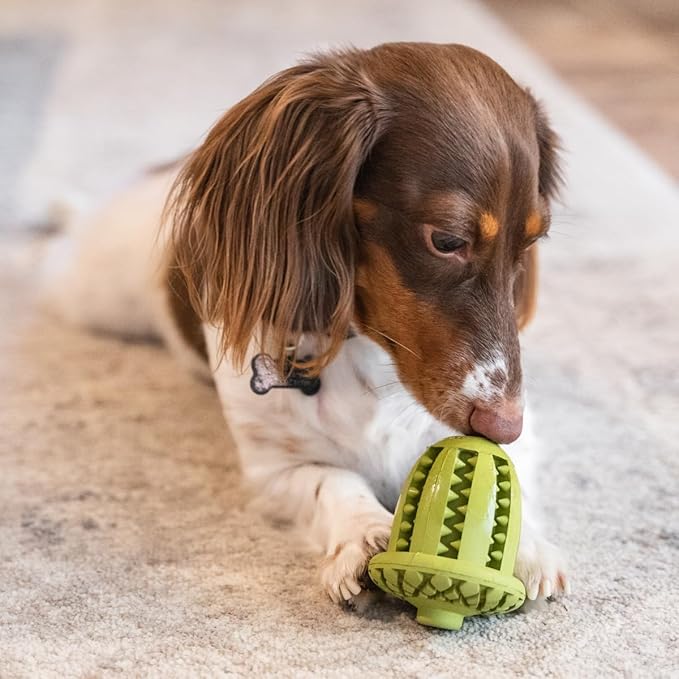 Tall Tails Acorn Natural Rubber Reward Toy for Dogs - Use for Spreadables Treats and Kibble Play