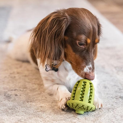 Tall Tails Acorn Natural Rubber Reward Toy for Dogs - Use for Spreadables Treats and Kibble Play