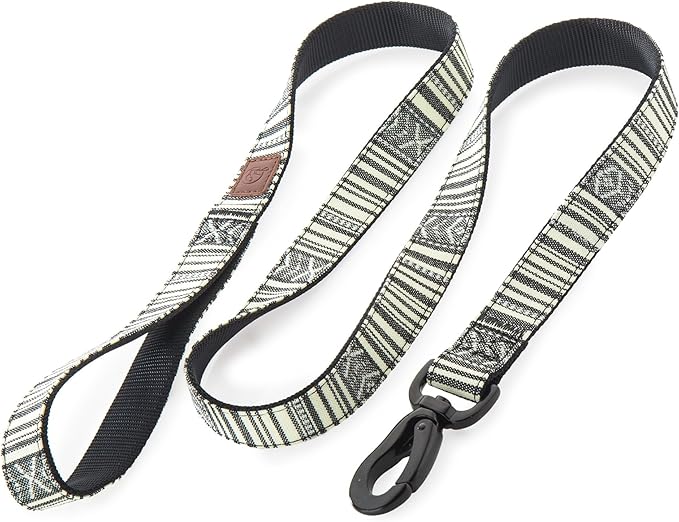 Embark Adventure Dog Leash – Strong & Durable, Colorful, 5 Ft, Suitable for Small, Medium & Large Dogs, Lunar