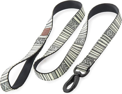 Embark Adventure Dog Leash – Strong & Durable, Colorful, 5 Ft, Suitable for Small, Medium & Large Dogs, Lunar