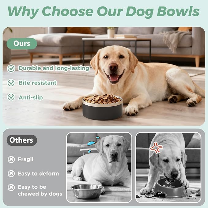 LIHONG Stainless Steel Dog Bowls for Small Medium Sized Dogs Non Slip,Insulated Dog Bowl,Pet Bowl for Food and Water,Rustproof(40oz,Black)