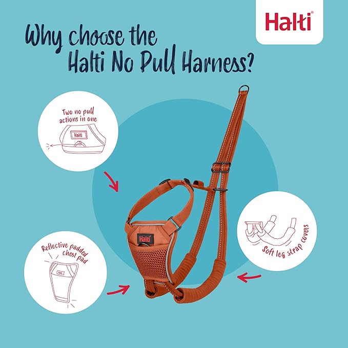 Halti No Pull Harness - Stop Your Dog Pulling on The Leash. Adjustable, Lightweight and Easy to Use. Reflective Dog Training Harness for Toy and Small Dogs (Size XS, Burnt Orange)