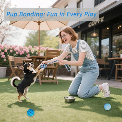 Puppy Chew Toys for Teething and Fun, 20 Pack Dog Toys for Small Puppies Bulk with Various Rubber Rings, Ropes and Balls for Interactive Play, Teeth Cleaning & Relief