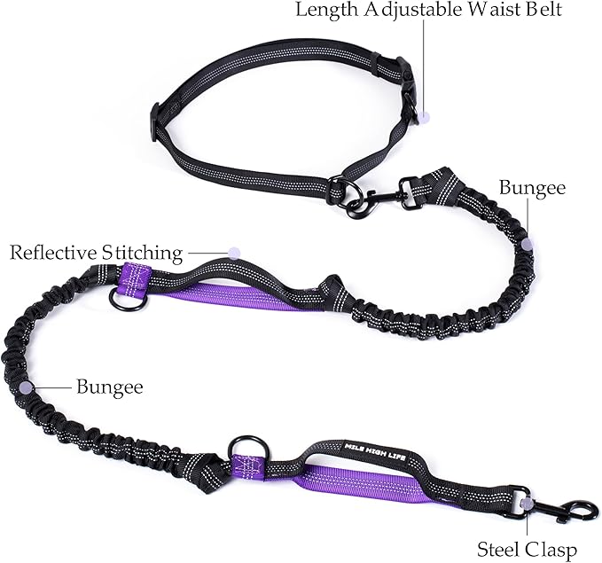 Mile High Life Hands Free Waist Leash for Dog Running Training and Jogging, Adjustable Belt with Double Handle, Reflective Bungee for Medium Large Dogs (Purple, 7FT)
