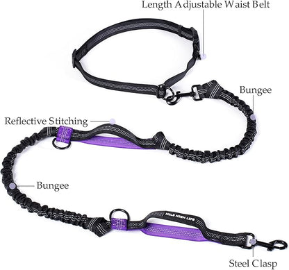 Mile High Life Hands Free Waist Leash for Dog Running Training and Jogging, Adjustable Belt with Double Handle, Reflective Bungee for Medium Large Dogs (Purple, 7FT)