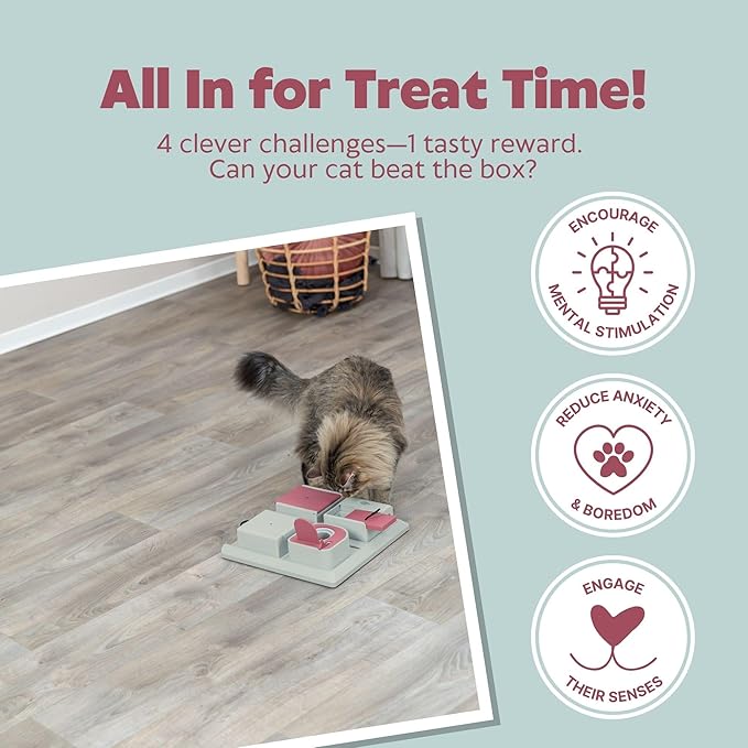 TRIXIE Cat Activity Poker Box Strategy Game – Interactive Puzzle Toy with 4 Modules – Treat Puzzle Feeder for Mental Stimulation & Slow Feeding – Pink/Gray, 12.2 x 12.2 x 2.5 in