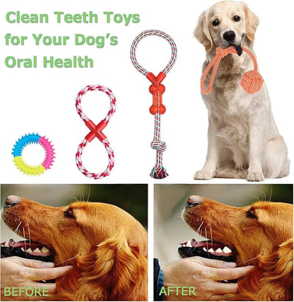 Dog Chew Toys for Small to Medium Dogs - 10 Pack Tough Dog Toys, Interactive Rope Teething Toy for Puppy, Durable Tug of War Toy, Birthday and Festival Gift Set