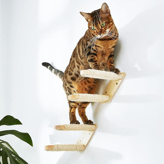 Wall-Mounted Cat Stairs Set of 2, 2-Step Pine Wood Cat Ladder with Sisal Rope, Space-Saving Climbing Shelves for Cats