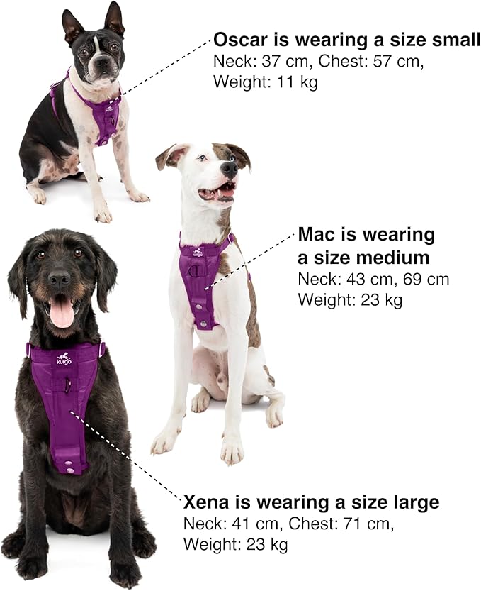 Kurgo Enhanced Strength Tru-Fit Dog Car Harness - Pet Travel Safety Harness - Crash Test Certified Fit - Five Point Adjustment - Secure Buckle - Padded Chest - Deep Violet - Small